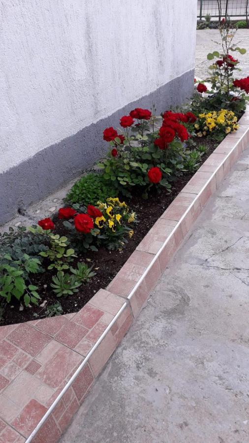 Kuca Za Odmor Varos Villa Vrlika Exterior foto