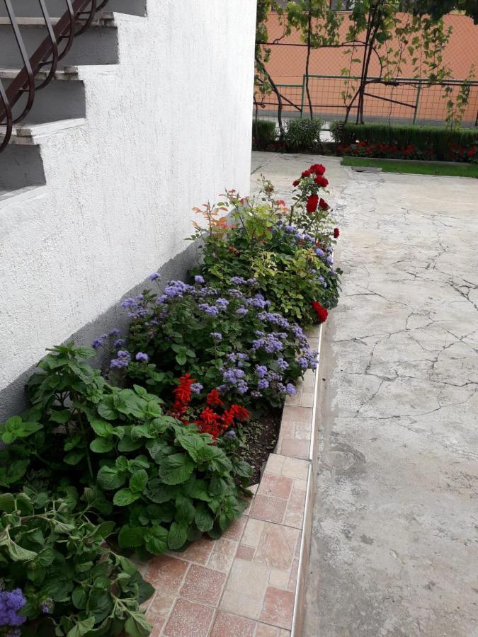 Kuca Za Odmor Varos Villa Vrlika Exterior foto
